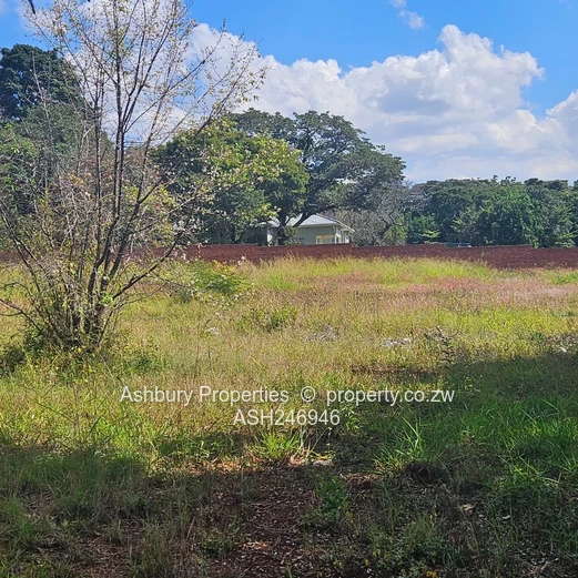 Prime Investment Opportunity in Mandara (Sole Mandate)