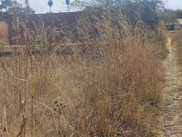 Commercial & Industrial Land