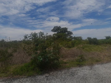 Farm & Agricultural Land