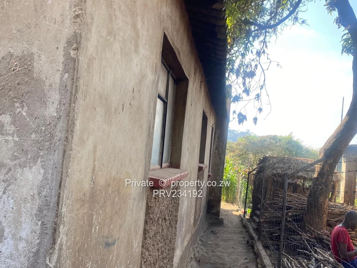 Centenary House + Core House on 325 sqm