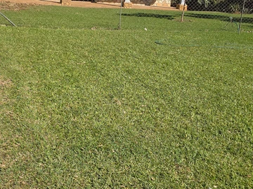 2 Bedroom Garden Flat