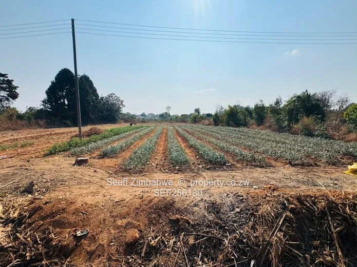Agro-residential Property for sale in Goromonzi near Mutare road (Sole Mandate)