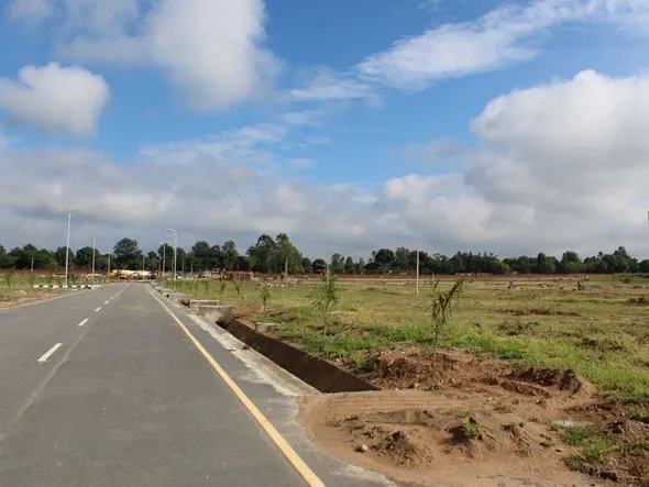 Stands & Residential Land