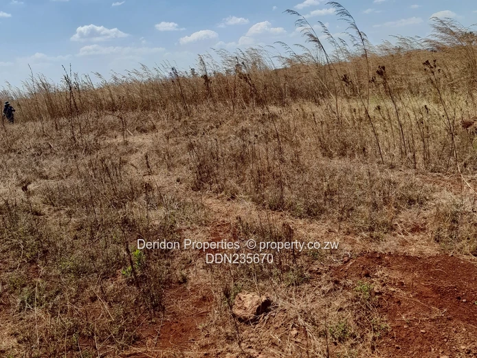 Build your dream home  (Sole Mandate)