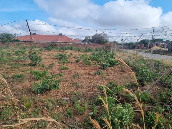 Stands & Residential Land