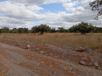 Farm & Agricultural Land