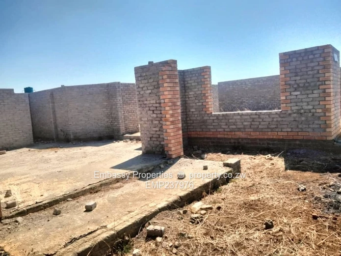 Investment opportunity