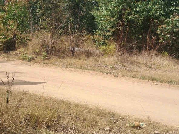 Commercial & Industrial Land