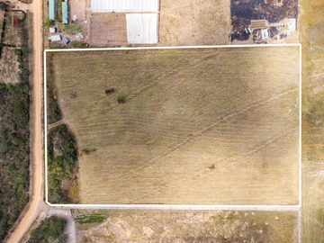 Farm & Agricultural Land