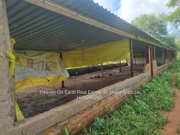 Farm For Sale In Masvingo