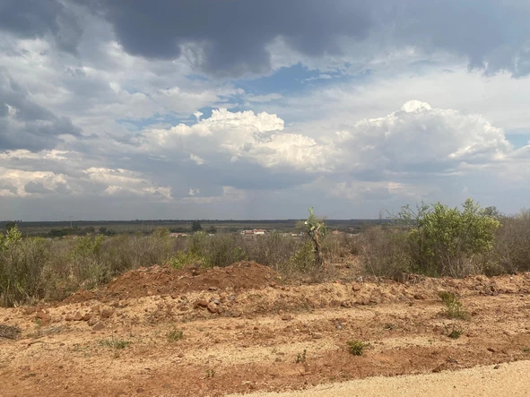 Commercial & Industrial Land