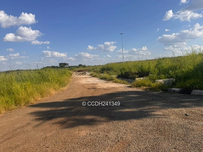 Glaudina Stands For Sale (Sole Mandate)