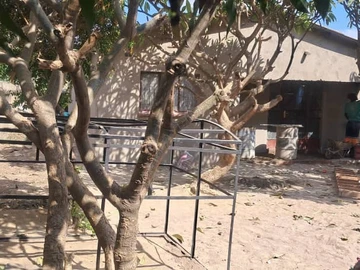Affordable & Profitable! Budiriro 5B Property for Sale.
