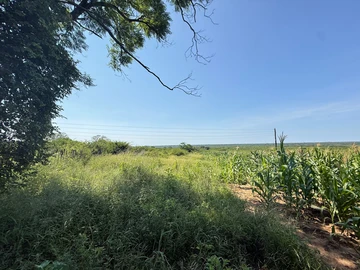 Farm & Agricultural Land