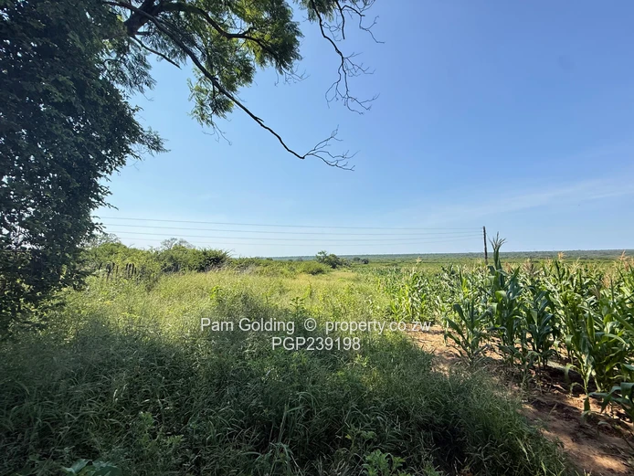 Nyamandlovu 1026 farm for sale