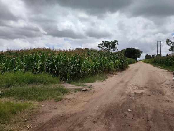 Commercial & Industrial Land