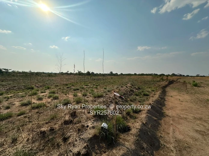 Knockmallock Estate, Norton – Agro-Residential Plots For Sale 