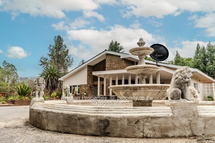 Modern entertainer's house plus land to develop