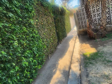 2 Bedroom Garden Flat