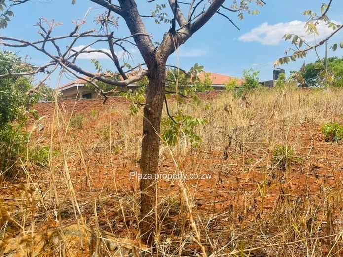 Stand For Sale – Norton, Knowe Phase 1