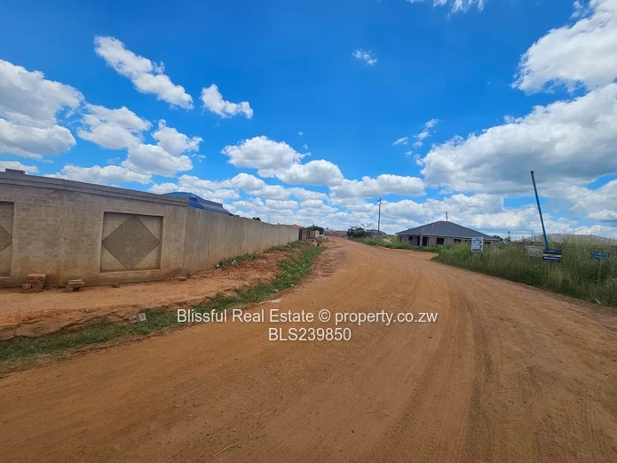 Stand for Sale in Zimre Park Extension