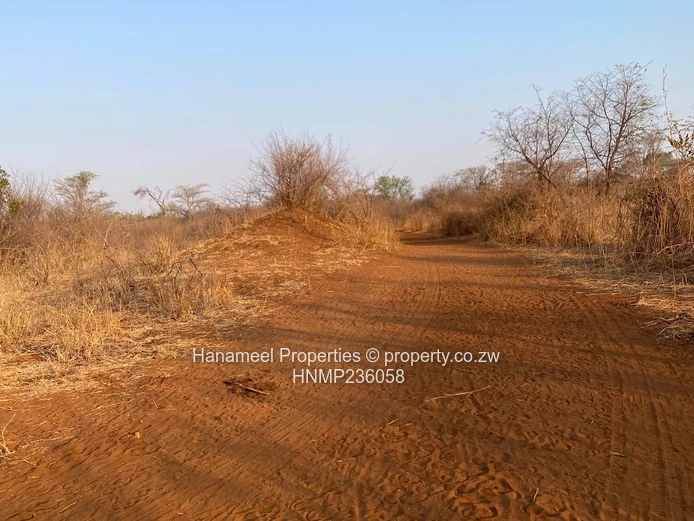 Selous Plot For Sale