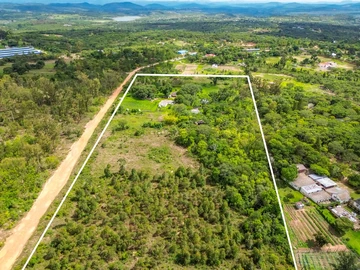 Farm & Agricultural Land