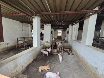 Farm & Agricultural Land