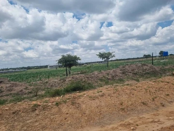 Farm & Agricultural Land