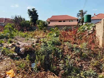 Stands & Residential Land