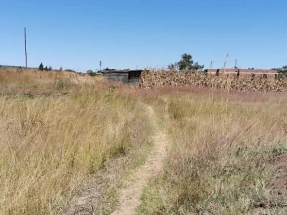 Stands & Residential Land