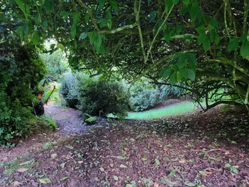 Farm & Agricultural Land