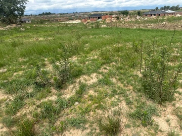 Stands & Residential Land