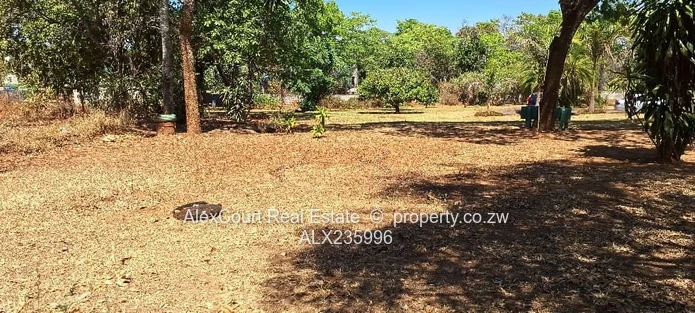 Subdivided Stand in Greystone Park!