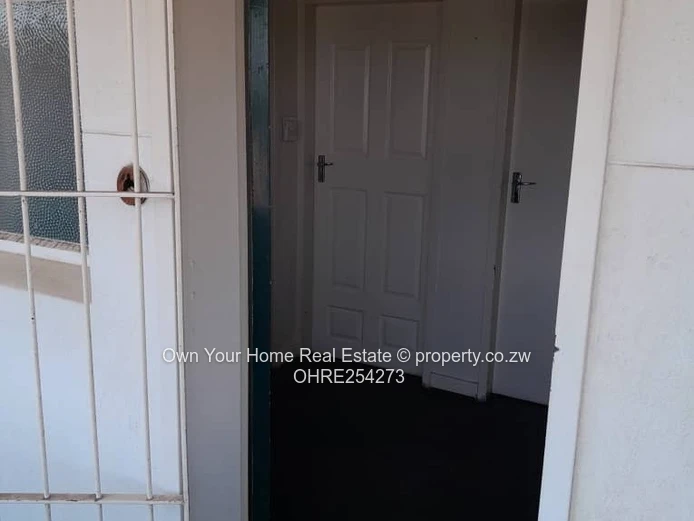 Avenues Flat For Rent