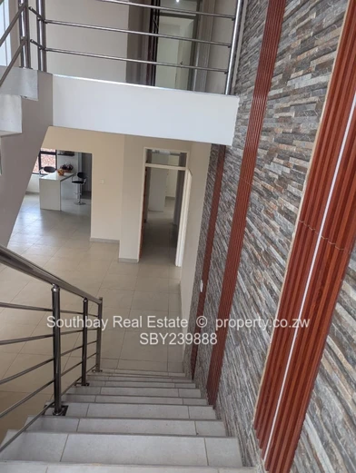 Investment Opportunity