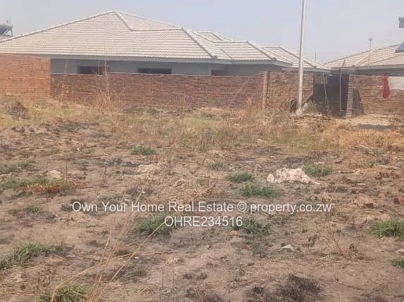 Galudina Stand for sale 