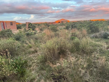 Stands & Residential Land