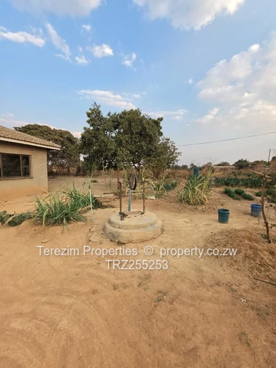 Whitecliff House For Sale 