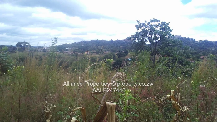 Borrowdale – Charlotte Brooke Vacant Stand For Sale