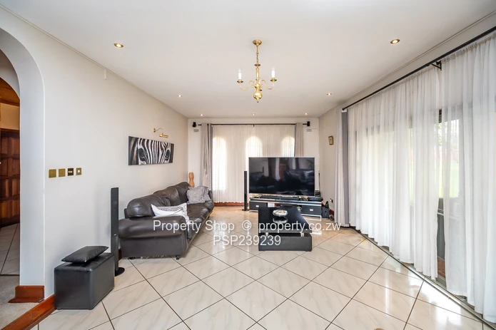 The Ultimate All-in-One Experience