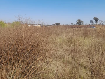 Stands & Residential Land