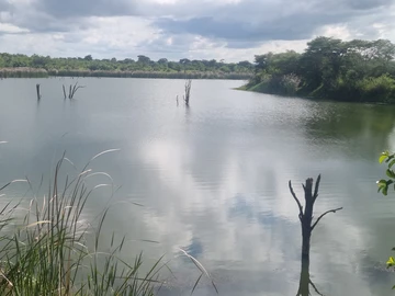 Farm & Agricultural Land