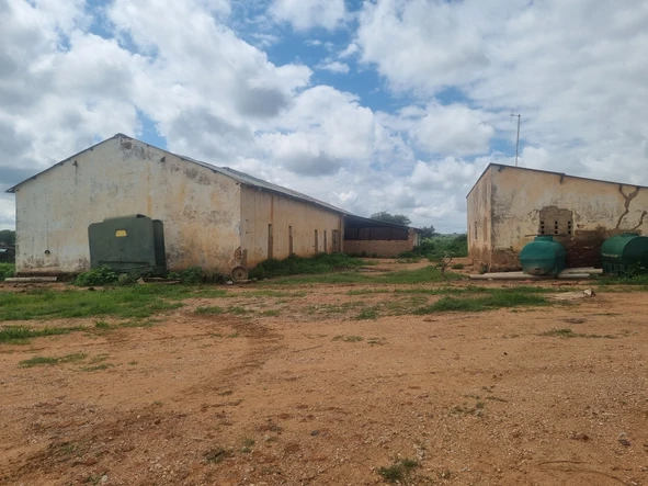 Farm & Agricultural Land