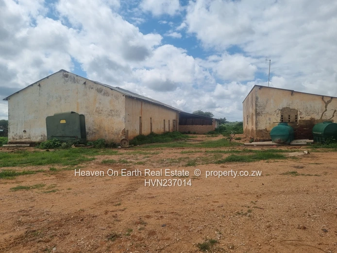 Green Gold For You Farmers!!