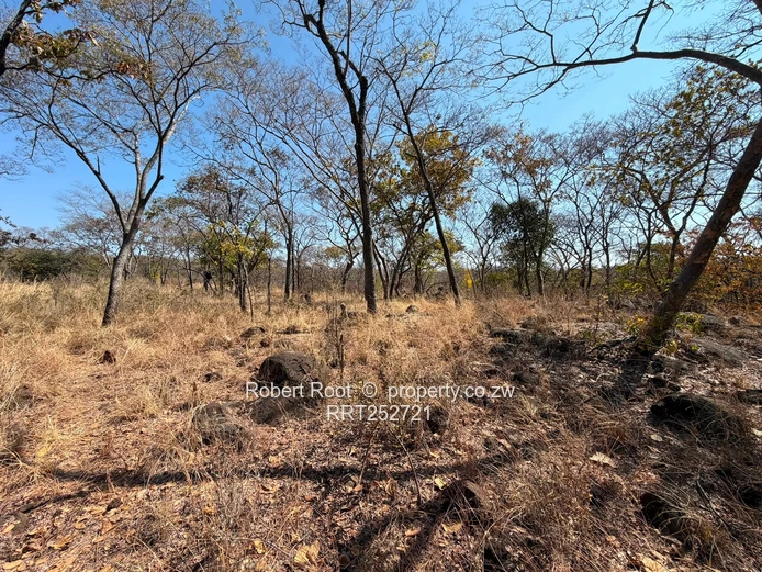 1.56ha at Darwendale with Lake View