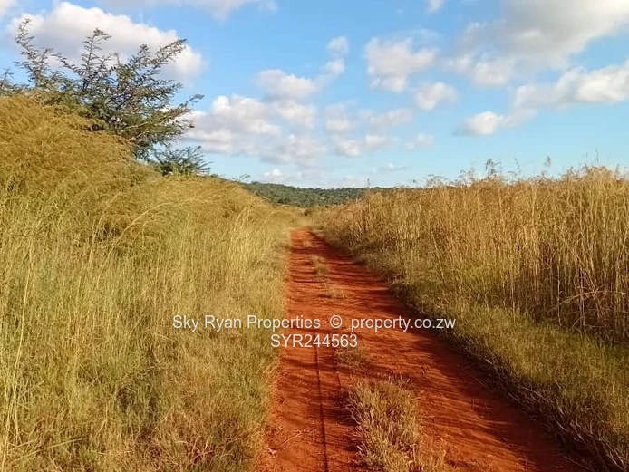 Acturus Of Cromlet Plots For Sale 