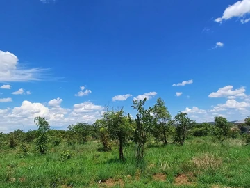 Commercial & Industrial Land