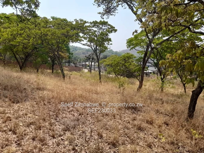 Exclusive Glen Lorne Canvas: Your Dream Home Awaits!