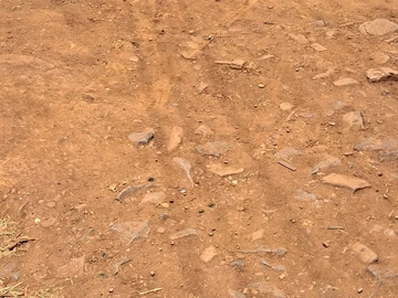 Shop & Retail Property